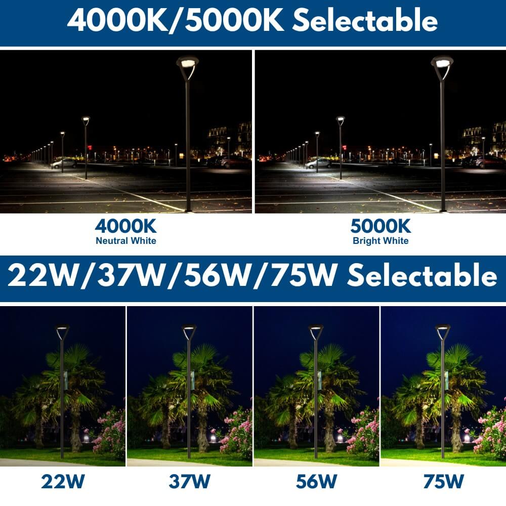 LED Post Top Light - Architecture Premium Post Top - 10,500 lumens - 75W - 4 Watts Selectable - 5000K/4000K Selectable - 120-277V - 100W-320W Equal