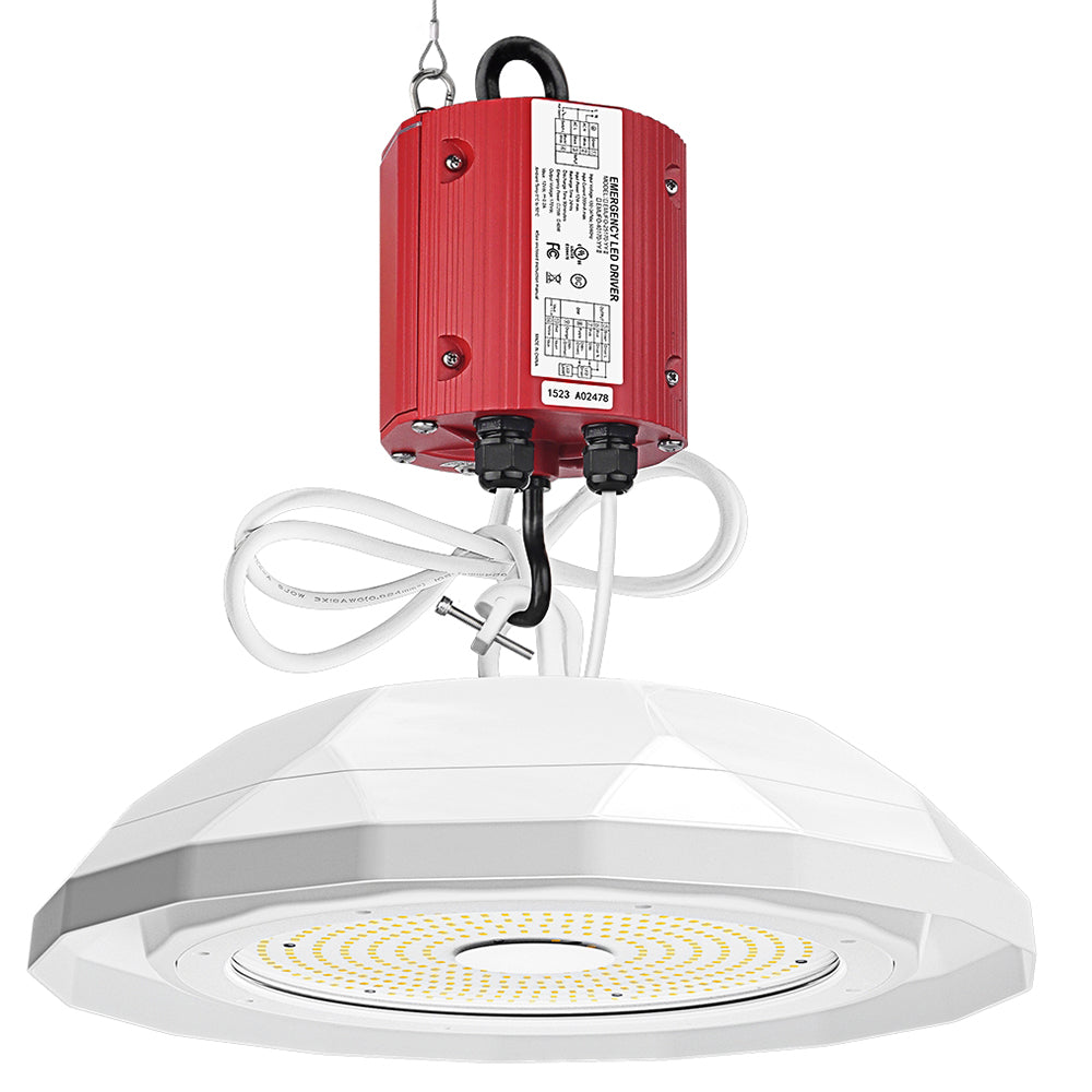 LED Emergency Backup Driver - Constant Power - 25W - 100-347Vac Input - 170Vdc Output