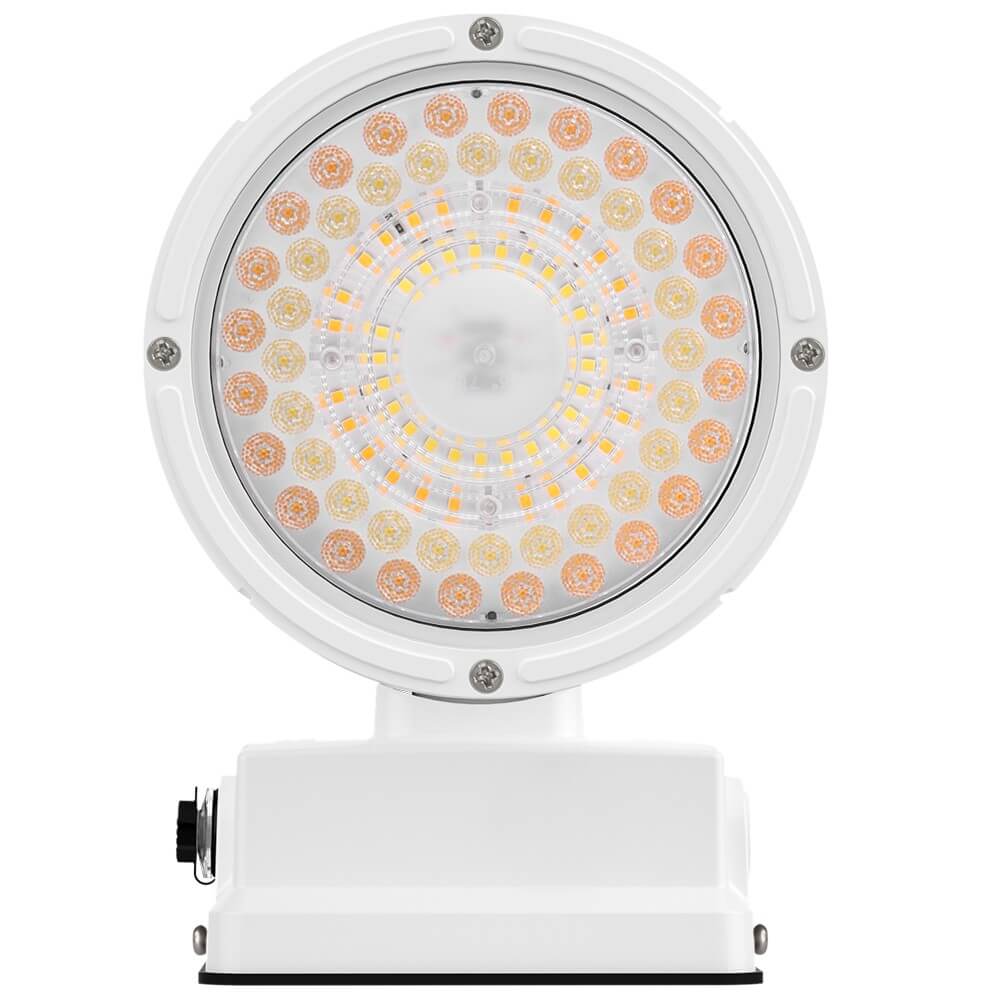 White Outdoor Wall Sconce - 38W/31W/19W Selectable - up to 5,600 Lumens - 3 CCT Selectable - 120-277V - Photocell with Cap