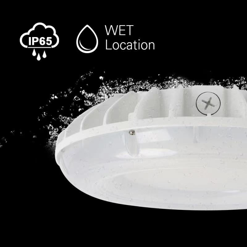 LED Canopy area light in wet location